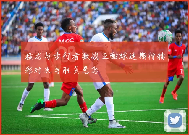 猛龙与步行者激战正酣球迷期待精彩对决与胜负悬念