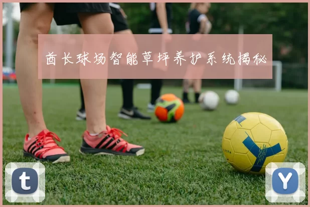 酋长球场智能草坪养护系统揭秘