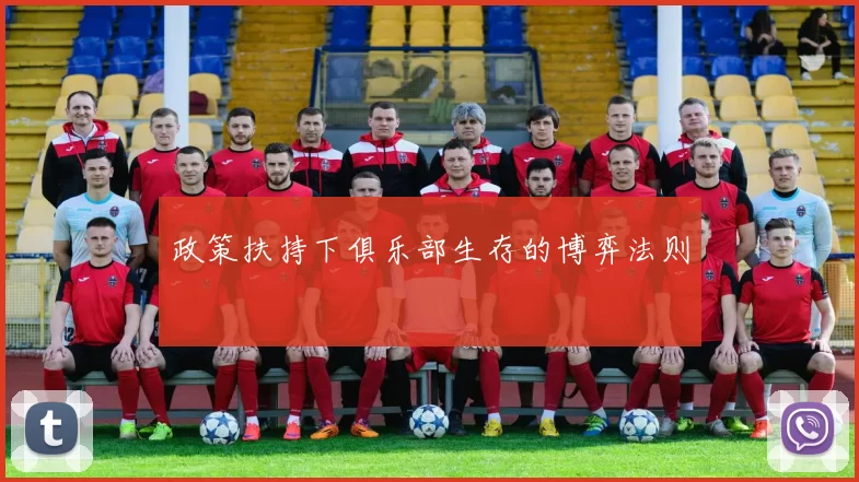 政策扶持下俱乐部生存的博弈法则
