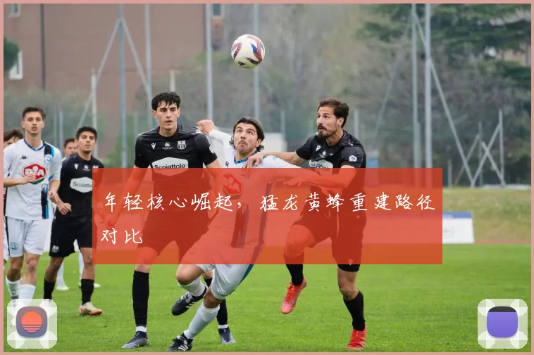 年轻核心崛起，猛龙黄蜂重建路径对比