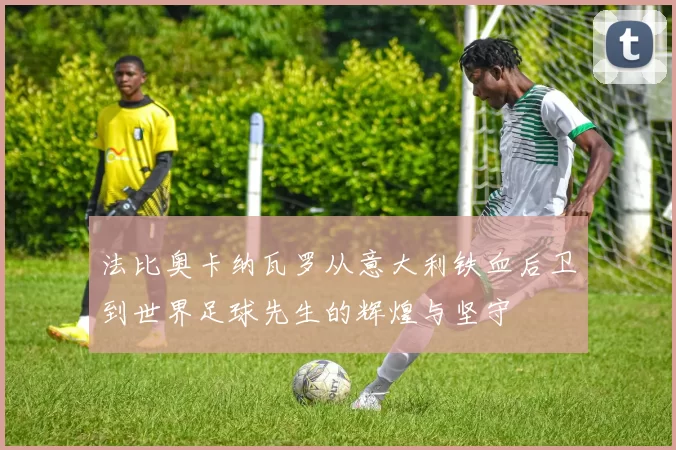 法比奥卡纳瓦罗从意大利铁血后卫到世界足球先生的辉煌与坚守