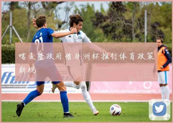 喀麦隆政府借非洲杯推行体育政策新规