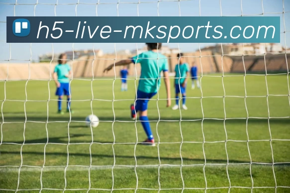 MKsports平台生态图