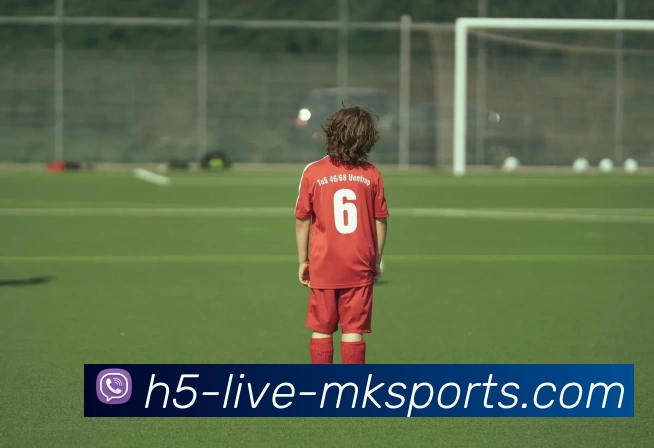 MKsportsAPP 封面图